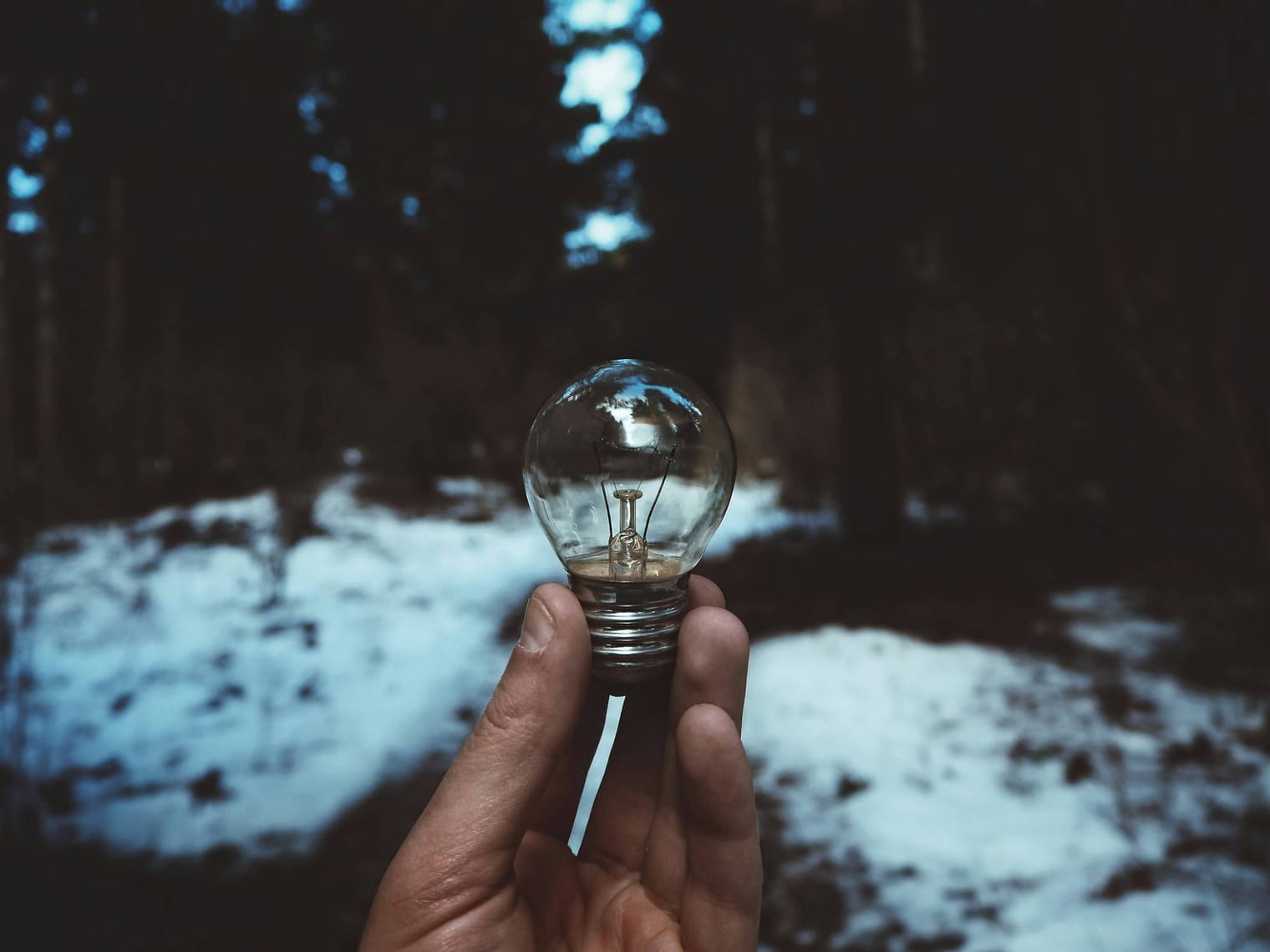 Confronto dei Fornitori di Energia in Italia: Migliori Offerte per Te