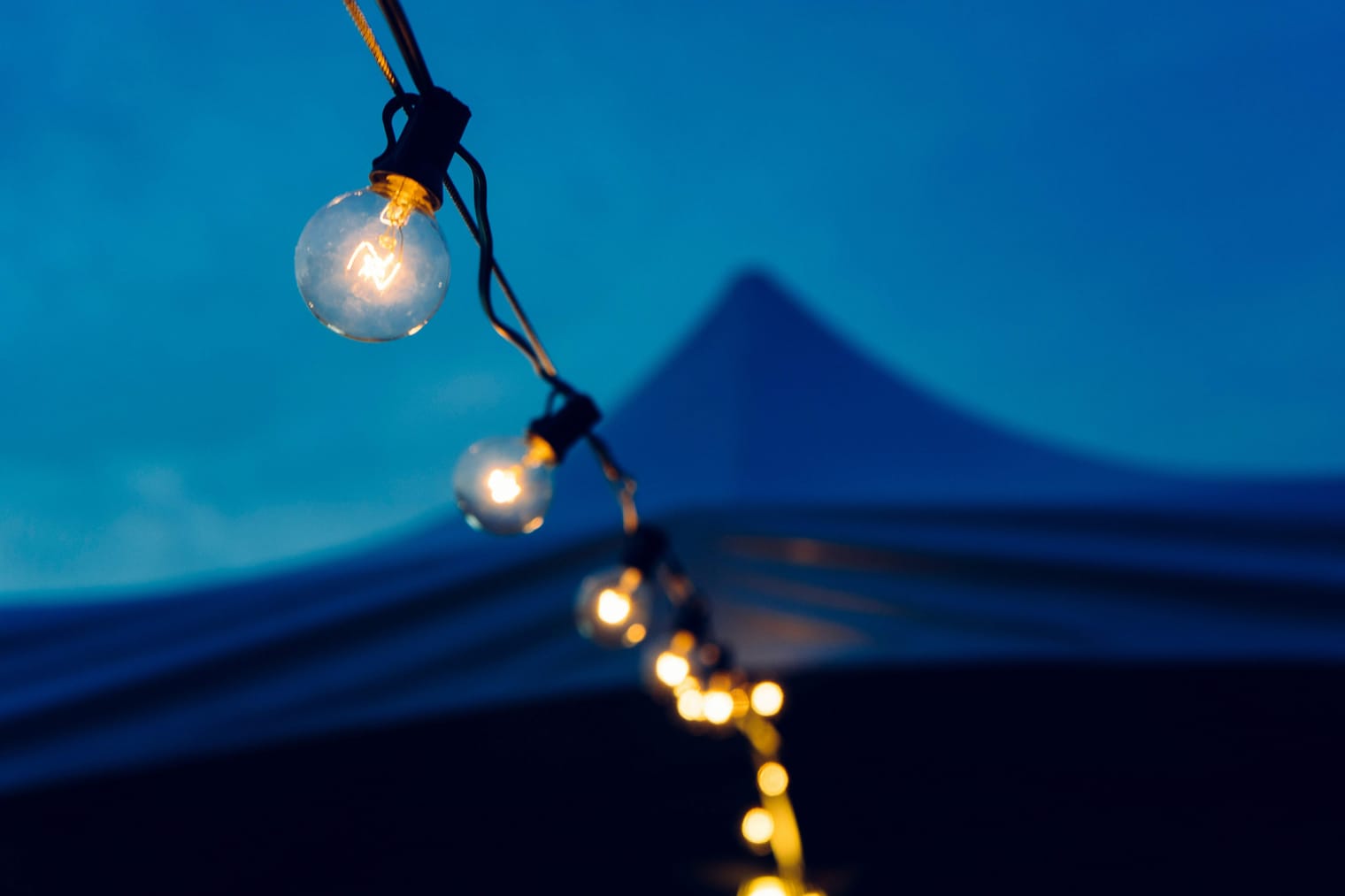 Distributori di Energia Elettrica e Gas: Chi Sono e Come Trovare il Tuo