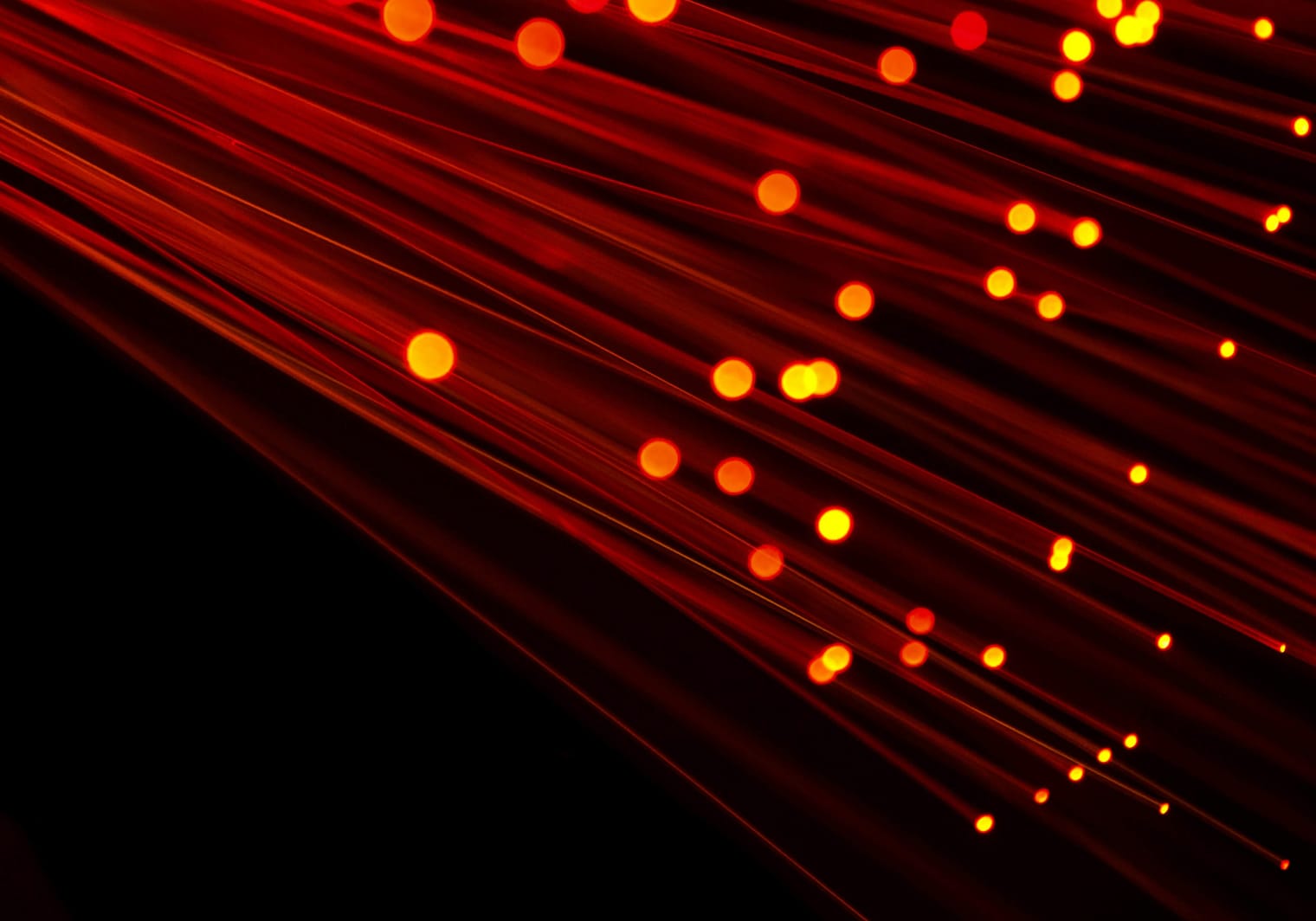 Problemi di Rete TIM: Cosa Controllare su Fibra e Cellulare e Come Segnalarli
